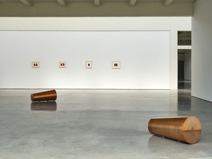 RONI HORN2028