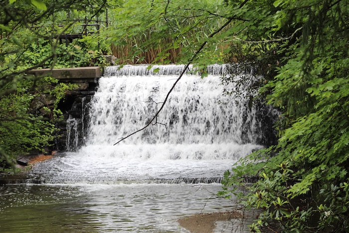 dam in Philips Brook