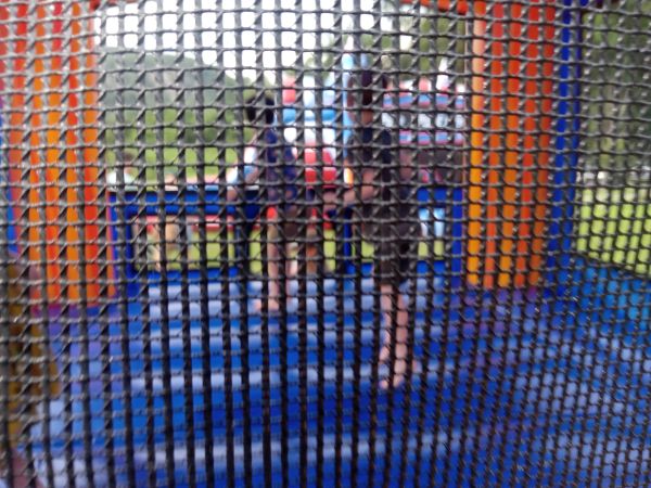 Mesh!