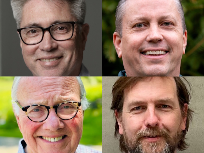 Democratic candidates